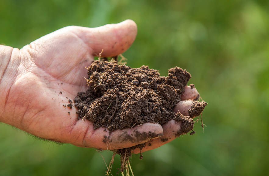 combattere il cambiamento climatico carbonio 